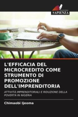 L'Efficacia del Microcredito Come Strumento Di Promozione Dell'imprenditoria