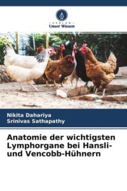 Anatomie der wichtigsten Lymphorgane bei Hansli- und Vencobb-Hühnern