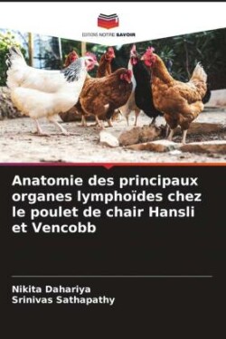 Anatomie des principaux organes lymphoïdes chez le poulet de chair Hansli et Vencobb