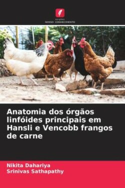 Anatomia dos órgãos linfóides principais em Hansli e Vencobb frangos de carne