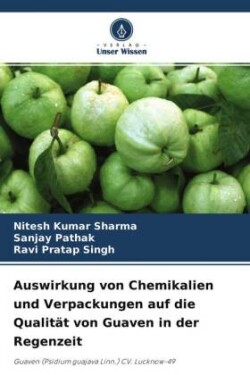 Auswirkung von Chemikalien und Verpackungen auf die Qualität von Guaven in der Regenzeit