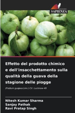 Effetto del prodotto chimico e dell'insacchettamento sulla qualità della guava della stagione delle piogge