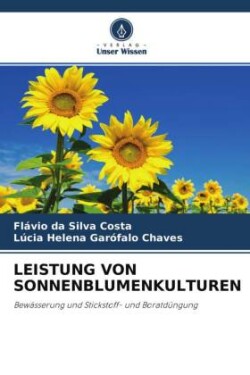 Leistung Von Sonnenblumenkulturen