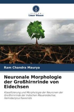 Neuronale Morphologie der Großhirnrinde von Eidechsen