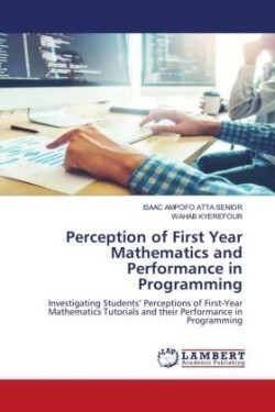 Perception of First Year Mathematics and Performance in Programming