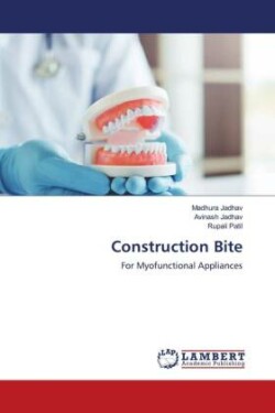 Construction Bite