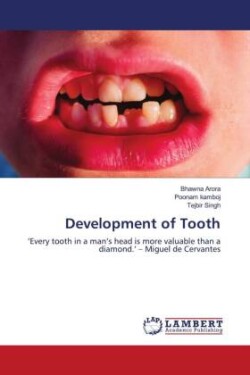 Development of Tooth