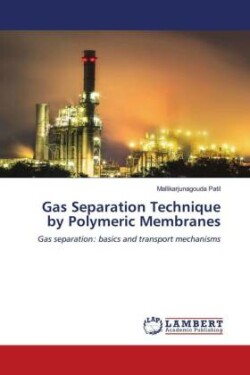 Gas Separation Technique by Polymeric Membranes