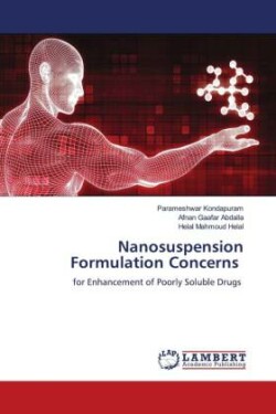 Nanosuspension Formulation Concerns