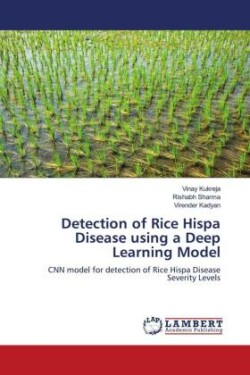 Detection of Rice Hispa Disease using a Deep Learning Model