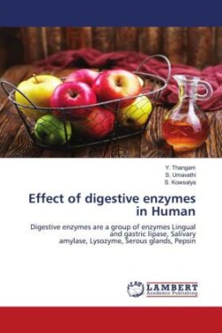 Effect of digestive enzymes in Human