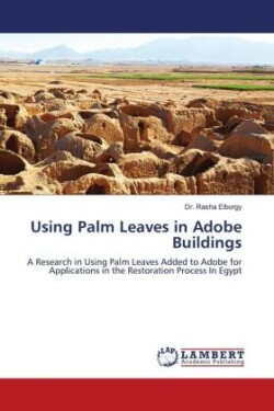 Using Palm Leaves in Adobe Buildings