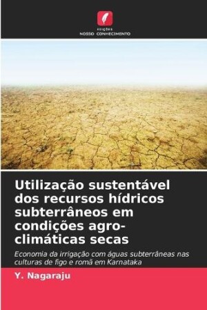 Utilização sustentável dos recursos hídricos subterrâneos em condições agro-climáticas secas