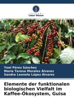 Elemente der funktionalen biologischen Vielfalt im Kaffee-Ökosystem, Guisa