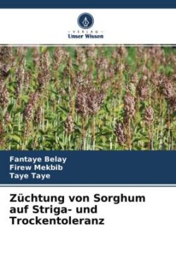 Züchtung von Sorghum auf Striga- und Trockentoleranz