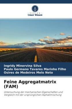 Feine Aggregatmatrix (FAM)