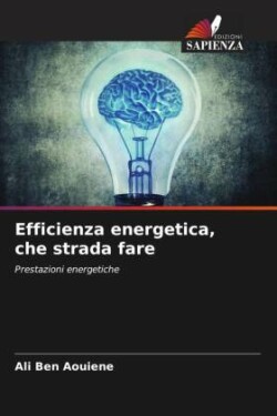 Efficienza energetica, che strada fare