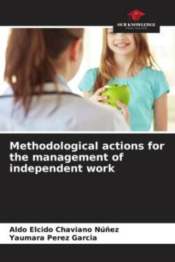 Methodological actions for the management of independent work