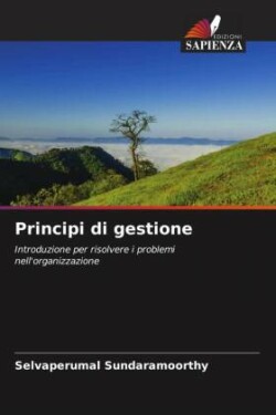 Principi di gestione