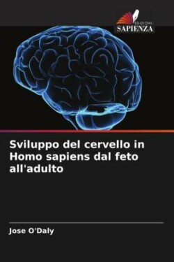 Sviluppo del cervello in Homo sapiens dal feto all'adulto