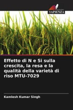 Effetto di N e Si sulla crescita, la resa e la qualità della varietà di riso MTU-7029