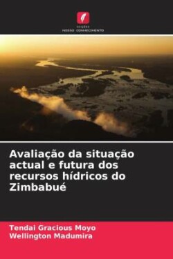 Avaliação da situação actual e futura dos recursos hídricos do Zimbabué