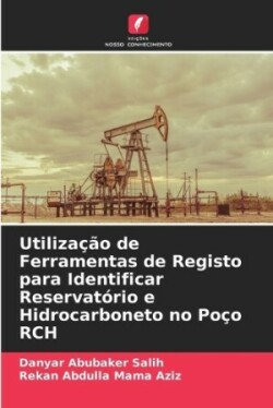 Utilização de Ferramentas de Registo para Identificar Reservatório e Hidrocarboneto no Poço RCH