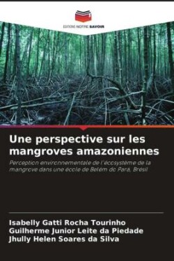 Une perspective sur les mangroves amazoniennes