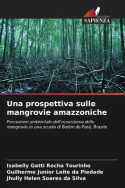 Una prospettiva sulle mangrovie amazzoniche