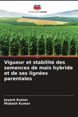 Vigueur et stabilité des semences de maïs hybride et de ses lignées parentales
