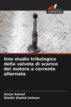 Uno studio tribologico della valvola di scarico del motore a corrente alternata