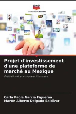 Projet d'investissement d'une plateforme de marché au Mexique