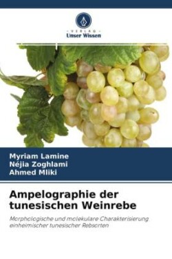 Ampelographie der tunesischen Weinrebe