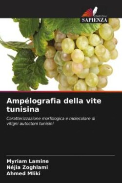 Ampélografia della vite tunisina