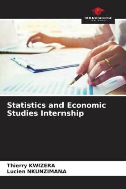 Statistics and Economic Studies Internship