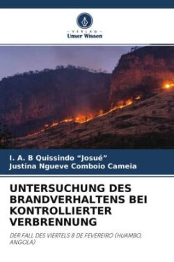 UNTERSUCHUNG DES BRANDVERHALTENS BEI KONTROLLIERTER VERBRENNUNG