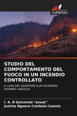 STUDIO DEL COMPORTAMENTO DEL FUOCO IN UN INCENDIO CONTROLLATO