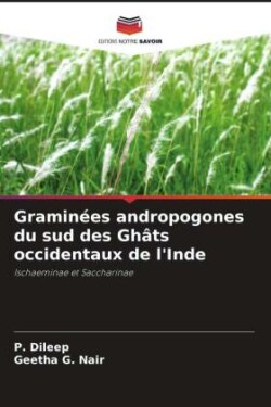 Graminées andropogones du sud des Ghâts occidentaux de l'Inde