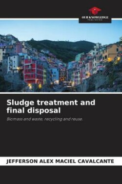 Sludge treatment and final disposal