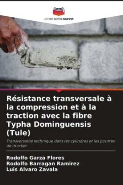 Résistance transversale à la compression et à la traction avec la fibre Typha Dominguensis (Tule)