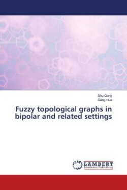 Fuzzy topological graphs in bipolar and related settings