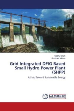 Grid Integrated DFIG Based Small Hydro Power Plant (SHPP)