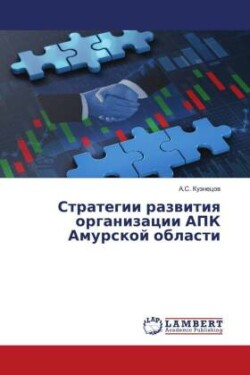 Strategii razwitiq organizacii APK Amurskoj oblasti