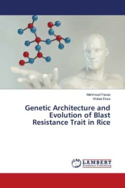 Genetic Architecture and Evolution of Blast Resistance Trait in Rice