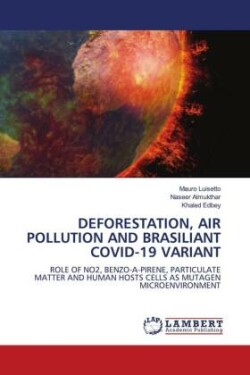 DEFORESTATION, AIR POLLUTION AND BRASILIANT COVID-19 VARIANT