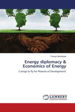 Energy diplomacy & Economics of Energy