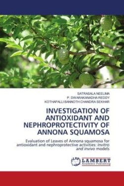 INVESTIGATION OF ANTIOXIDANT AND NEPHROPROTECTIVITY OF ANNONA SQUAMOSA
