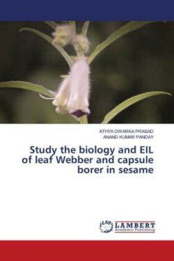 Study the biology and EIL of leaf Webber and capsule borer in sesame