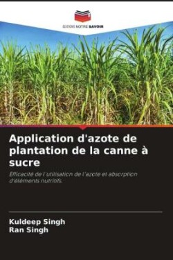 Application d'azote de plantation de la canne à sucre