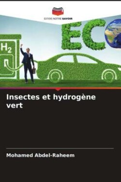 Insectes et hydrogène vert